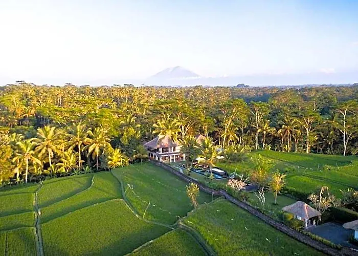 Villa Calm 5 Bedroom Private With Rice Field View Zn09 Tegallalang (Bali)