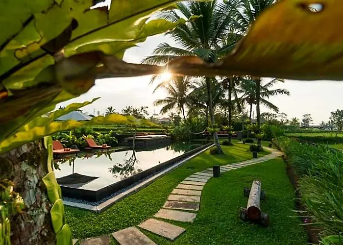Villa Calm 5 Bedroom Private With Rice Field View Zn09