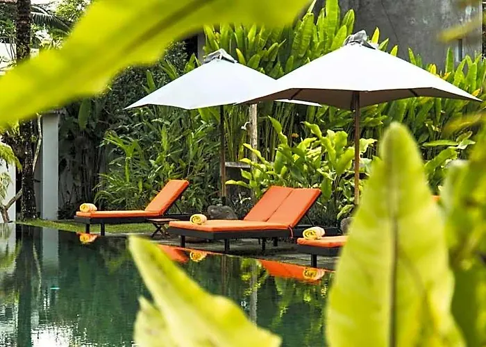 Calm 5 Bedroom Private With Rice Field View Zn09 Villa *