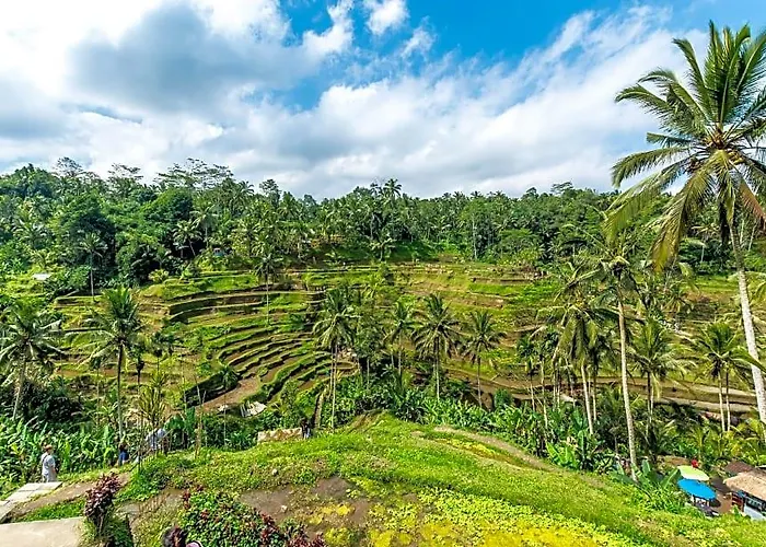 Calm 5 Bedroom Private With Rice Field View Zn09 Tegallalang (Bali)
